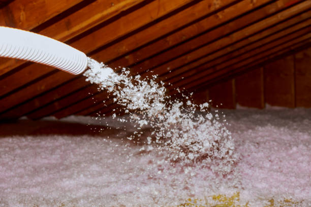 Best Specialized Insulation Services in Vandalia, MO