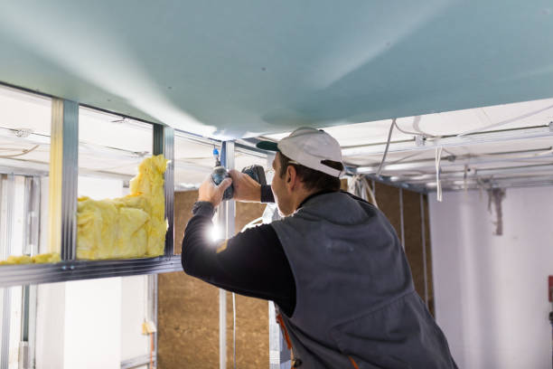 Best Insulation Maintenance and Repair in Vandalia, MO