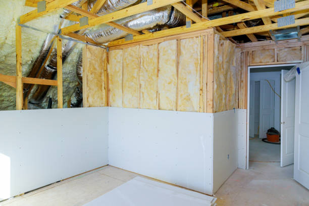 Best Eco-Friendly Insulation in Vandalia, MO