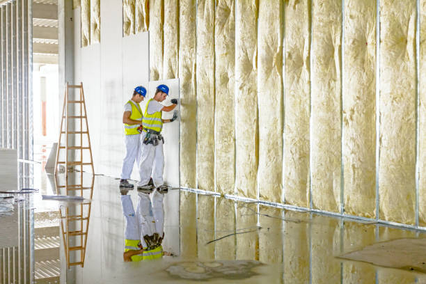Best Blown-in Insulation in Vandalia, MO